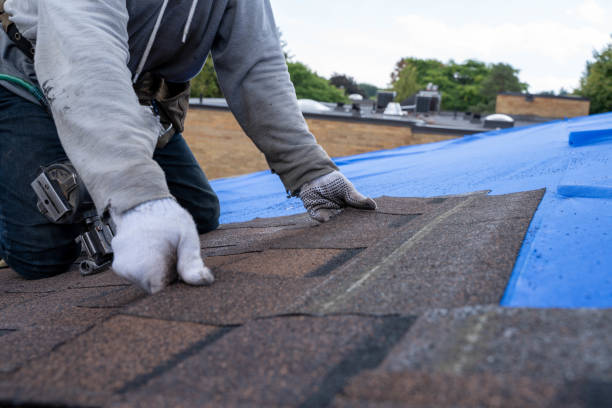 Best Metal Roofing Contractor  in Harlem, FL