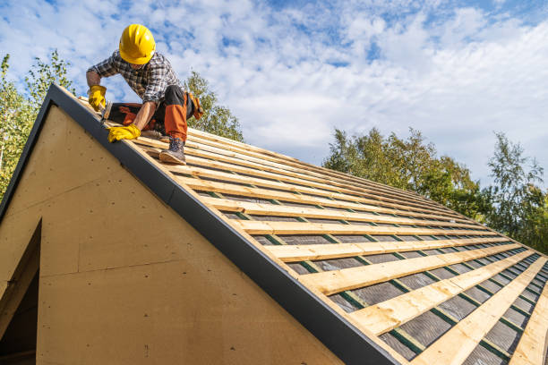 Roof Gutter Cleaning in Harlem, FL